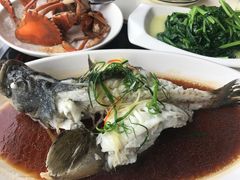 -鑫悦楼煎蟹·16年海鲜大排档