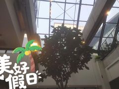 -大树餐厅(红旗街万达店)