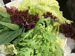-蝎王府羊蝎子(北大地店)