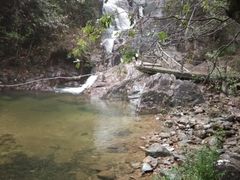 -九龙江国家森林公园