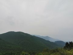 -武陵山森林公园