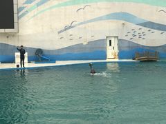 -北戴河圣蓝海洋公园