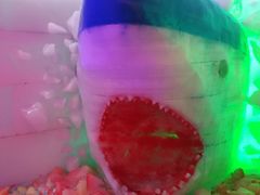 -珠海海泉湾神秘岛亲子乐园