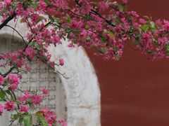-北京艺术博物馆(万寿寺)