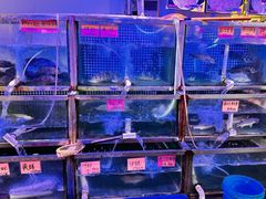 -八仔大富楼·河鲜(西江店)