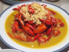 -杨氏青龙虾·羊蝎子(托乐嘉店)