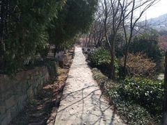 -白马涧龙池景区