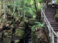 -藏龙百瀑风景区