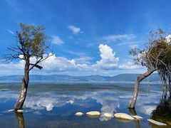 -阿昌白族石板烧(大理古城店)