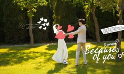 -保定巴黎婚纱摄影