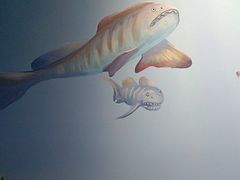 -重庆欢乐海底世界