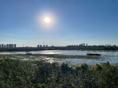 -天津东丽湖风景区