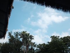 -珠海长隆海洋王国