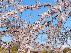 -夏河溪乡野公园