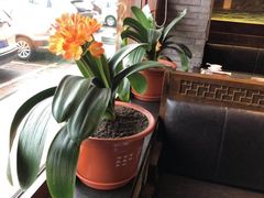 -鼎汇丰重庆老火锅(鞍顺园店)