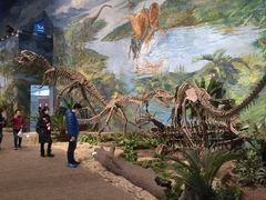 -自贡恐龙博物馆