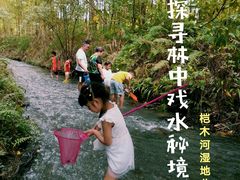 -桤木河湿地公园