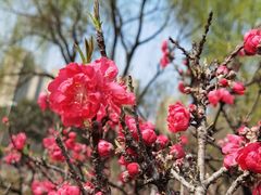 -白塘生态植物园