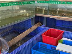 -丫丫蟹庄·苏式园林农家乐·阳澄湖大闸蟹(阳澄湖莲花岛店)