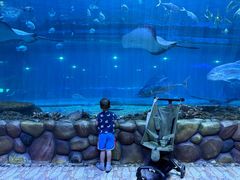 -华夏文旅海洋公园