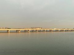 -丁香湖公园