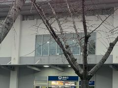 -雁荡山站