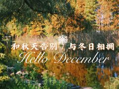 -上海共青森林公园