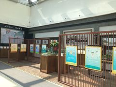 -上海市第一人民医院(松江南部)