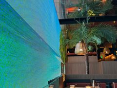 -大头椰·椰子鸡火锅(南宁万象城店)