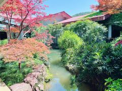 -中国茶叶博物馆(双峰馆区)