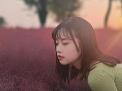 -汉长安城未央宫国家考古遗址公园