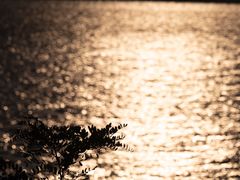 -青岛第三海水浴场