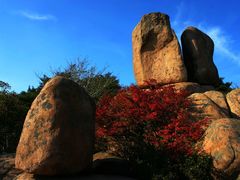 -鲁山国家森林公园