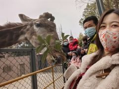 -荆州中山公园动物园