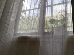 -本觉禅拍