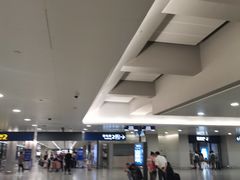 -上海浦东国际机场-T2航站楼