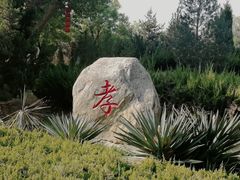 -大槐树寻根祭祖园