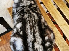 -猫友咖啡店(玉林西路店)