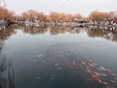 -百花洲