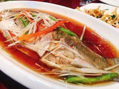 酱椒蒸游龙斑-盛德圆(五台山云龙店)