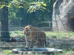 -秦皇岛野生动物园