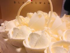 -BLACKSWAN黑天鹅(环球店)