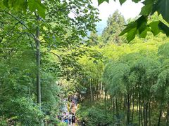 -莫干山风景区