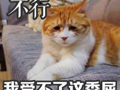 -和·铁板烧·OMAKASE(望京昆泰嘉晟酒店)