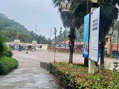 -重庆海昌加勒比海水世界