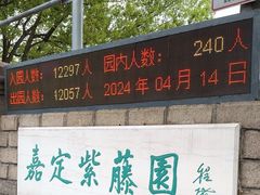 -嘉定紫藤园
