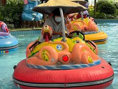 -南宫五洲植物乐园