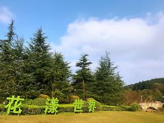 -铁山坪森林公园