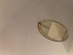 -十分到家家电清洗上海