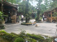 -青城甲(青城山店)